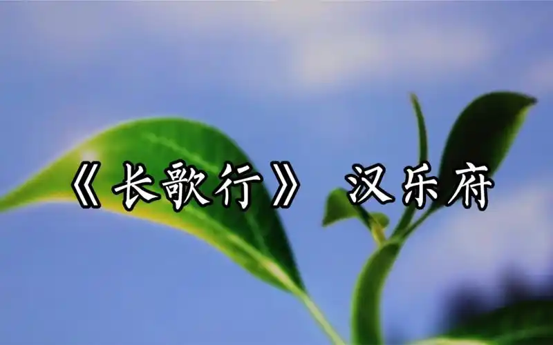 《长歌行》汉乐府~歌唱古诗~钢琴伴奏