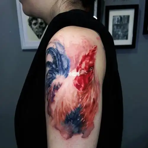 水彩公鸡纹身