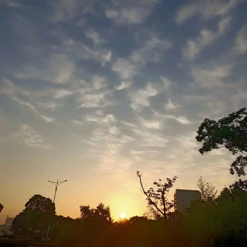 人生没有不变的风景,只要心中永远向着太阳,每一缕阳光都闪耀着 - 抖