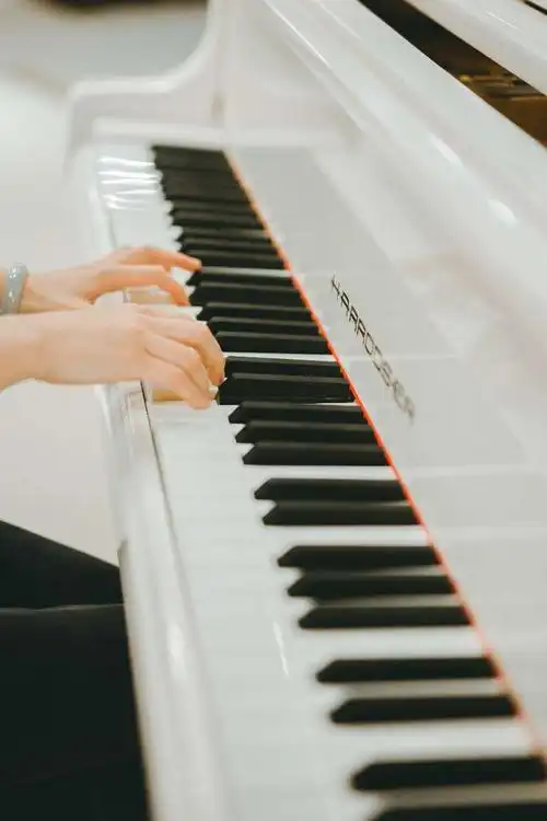 是集视觉艺术,德国历史与精湛手工艺为一体的哈罗德钢琴,他的每一个