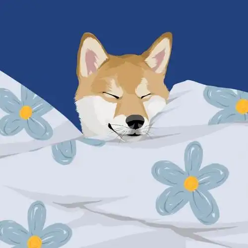 头像一看就舒心的可爱头像