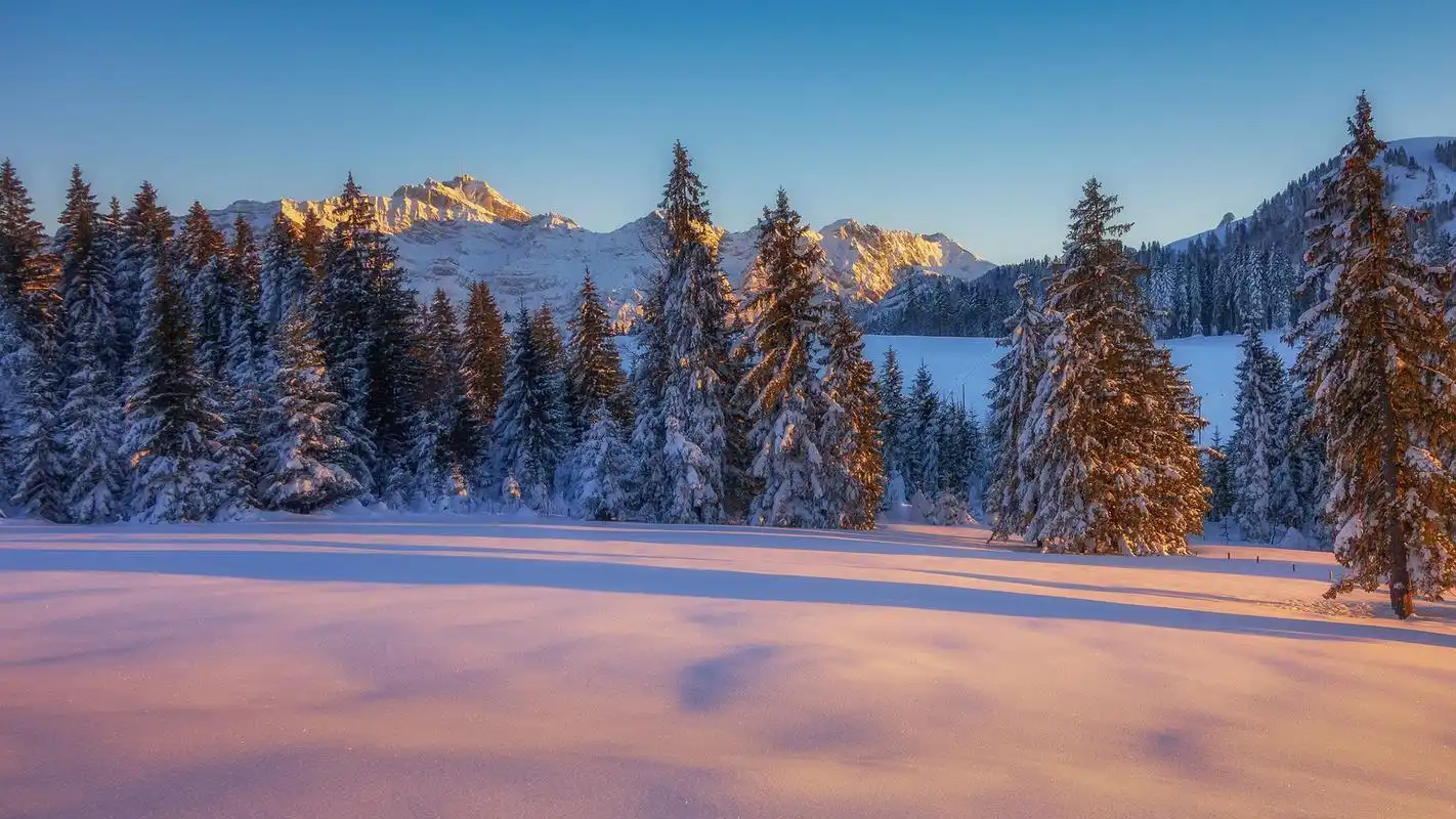 冬天唯美雪景高清风景壁纸下载