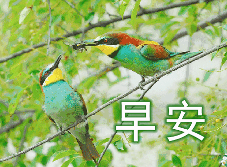 手上,开心由你来分享,一句问候心荡漾,互动话题诉衷肠,愿你早安好时光