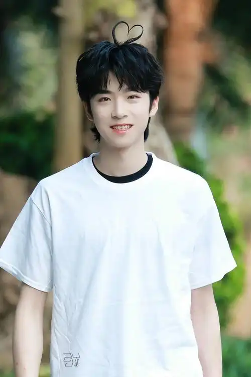 张嘉元的爱心头发