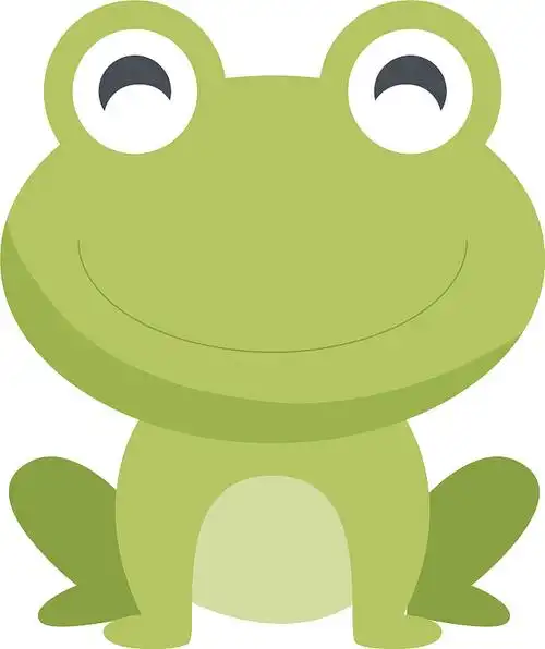 可爱的青蛙在白色的背景图片