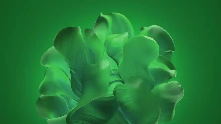 更多色泽的早期windows 11官方壁纸下载