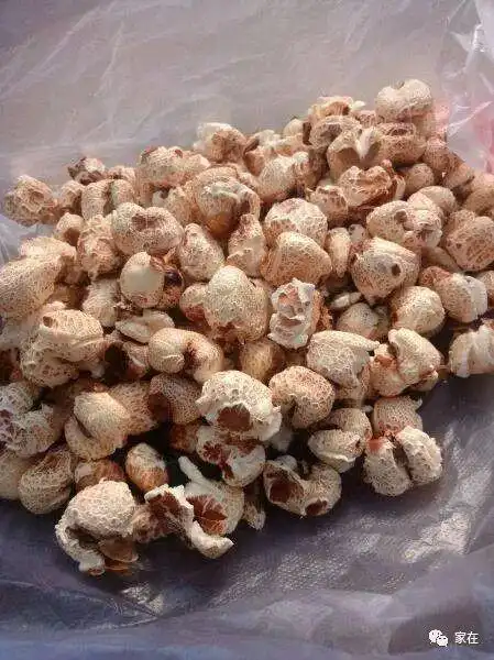 娃们赶紧把耳朵捂起来开锅,米花炸出来了这个时候叫大人孩子们赶快