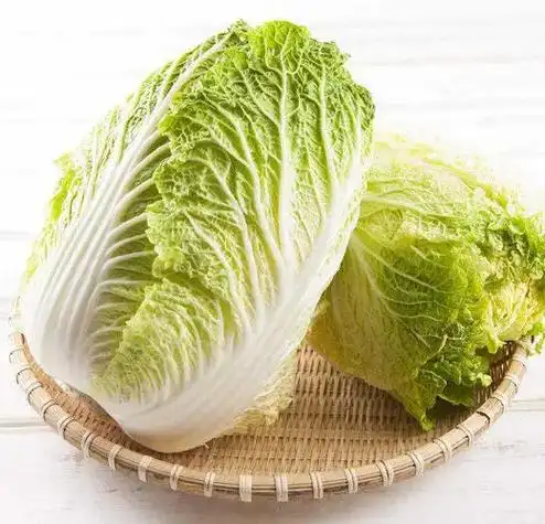 黄芽白菜(本草)