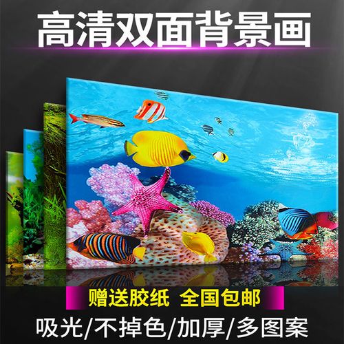 鱼缸背景画鱼缸背景纸高清图3d立体造景贴纸装饰珊瑚石水族箱壁纸