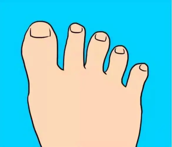 俗话二拇脚趾头长长大了不养娘是何意真能从脚看人品