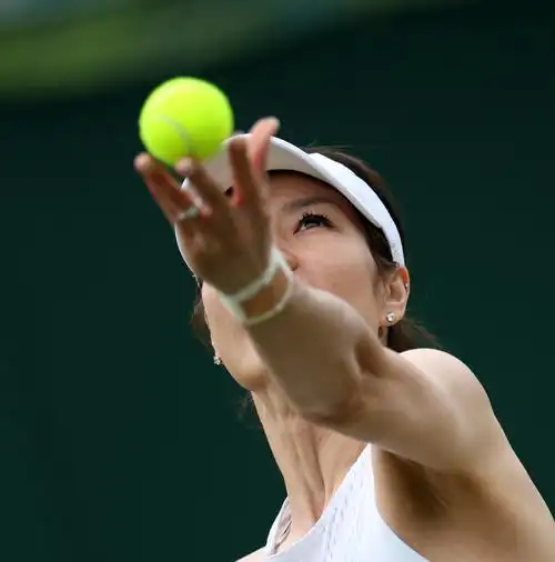 体育网球李娜重返温网出战元老赛