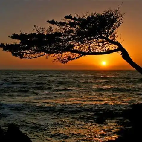 风景头像,这里是一个令人心潮澎湃的地方-唯美头像