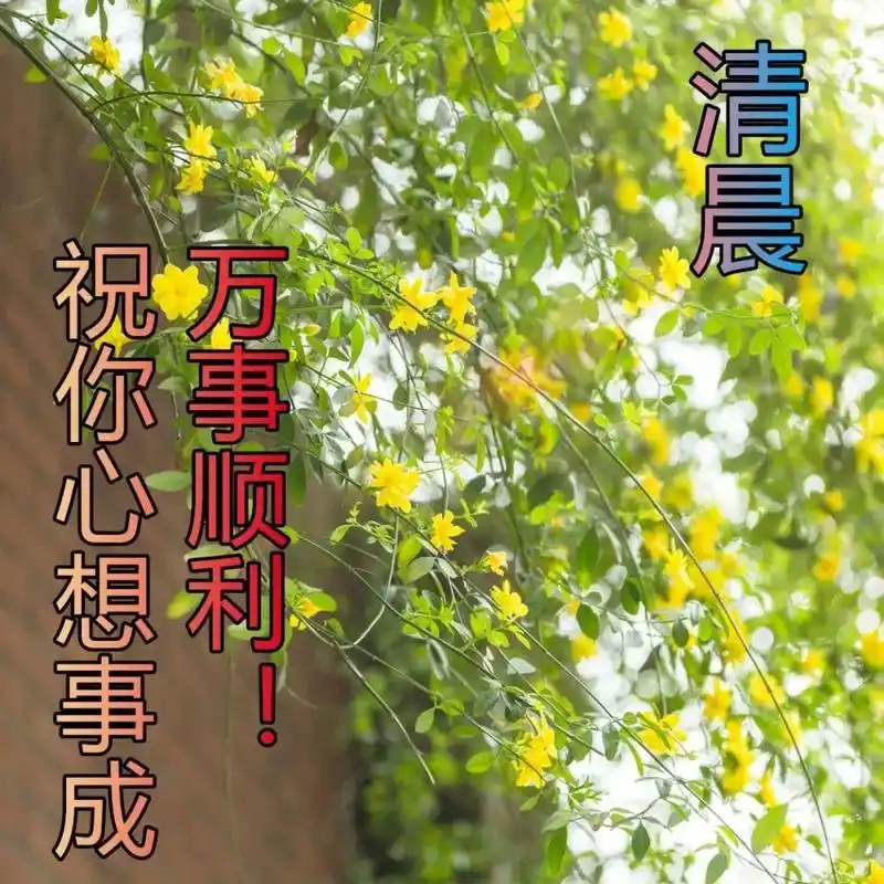 特别漂亮早上问候动态图片大全 早上问好表情动态图片大全