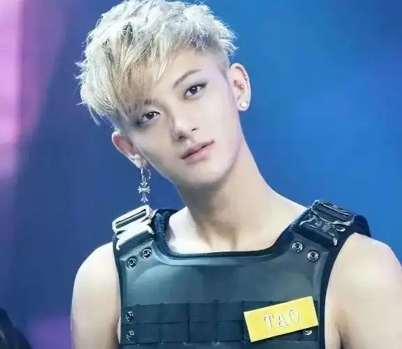 黄子韬耳朵很顺 耳朵大 黑眼圈重 鼻子气势强 嘴巴小 卧蚕重 下停偏弱