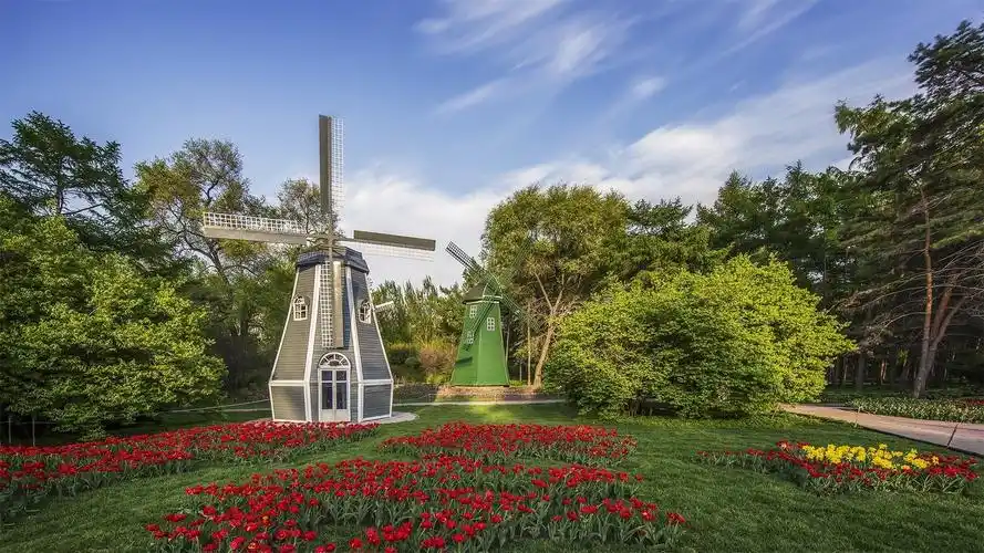 哈尔滨森植物园赏郁金香