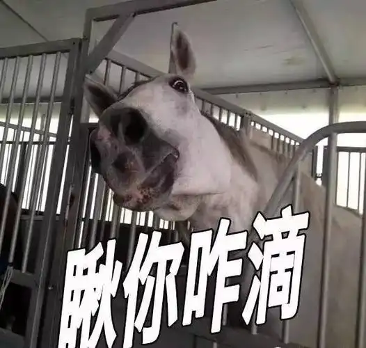 别只把马儿当做表情包,可能是他需要你的关心了!_手机搜狐网