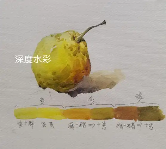 单个水彩静物步骤图