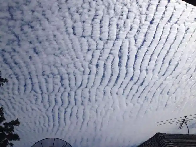 让你失望了,地震云并不存在