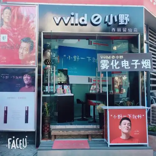 vvild小野雾化电子烟西丽留仙店