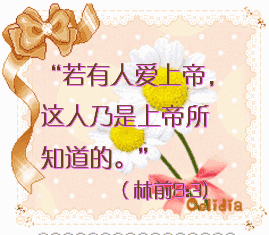 269_235gif 动态图 动图