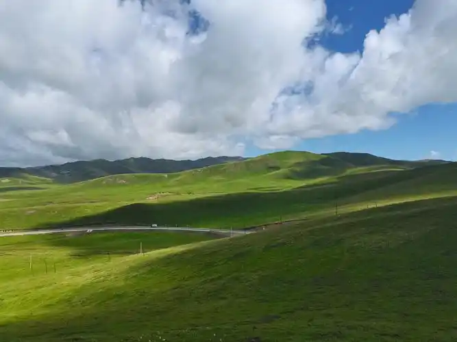 若尔盖草原10620平方公里的土地上,风光迤逦,民风淳朴,文化底蕴厚重