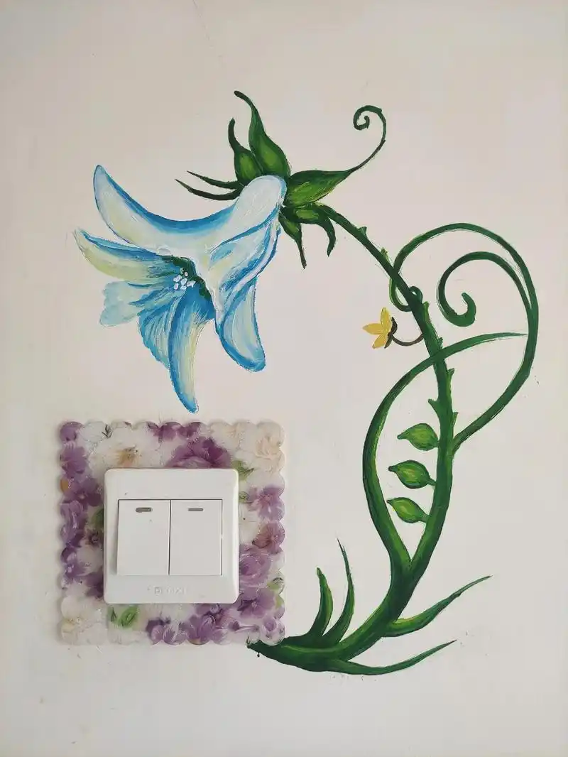 开关创意手绘#个人爱好 #给生活多一点色彩  - 抖音