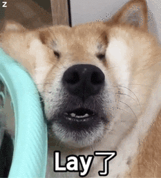 累了柴犬表情包柴犬表情