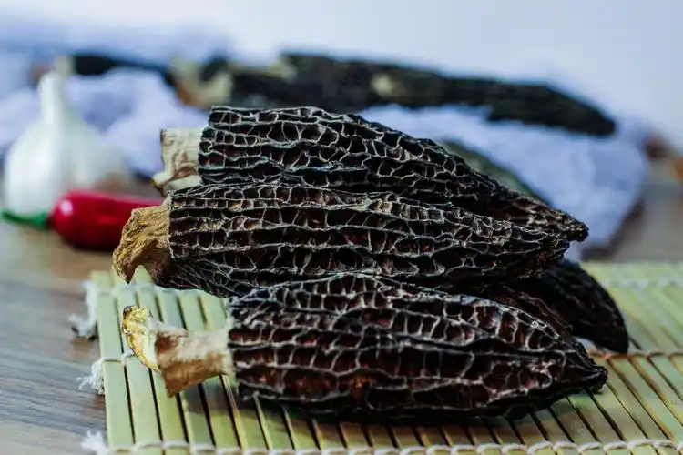 羊肚干货云南土特产食用菌野生特级新鲜蘑菇煲汤羊肚菌