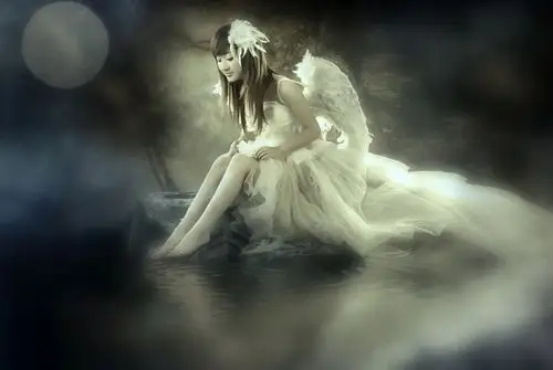 【引用】梦天使·欲飞折翅〖唯美音画素材