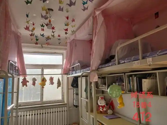 2019年学生公寓寝室设计创意美化大赛获奖名单