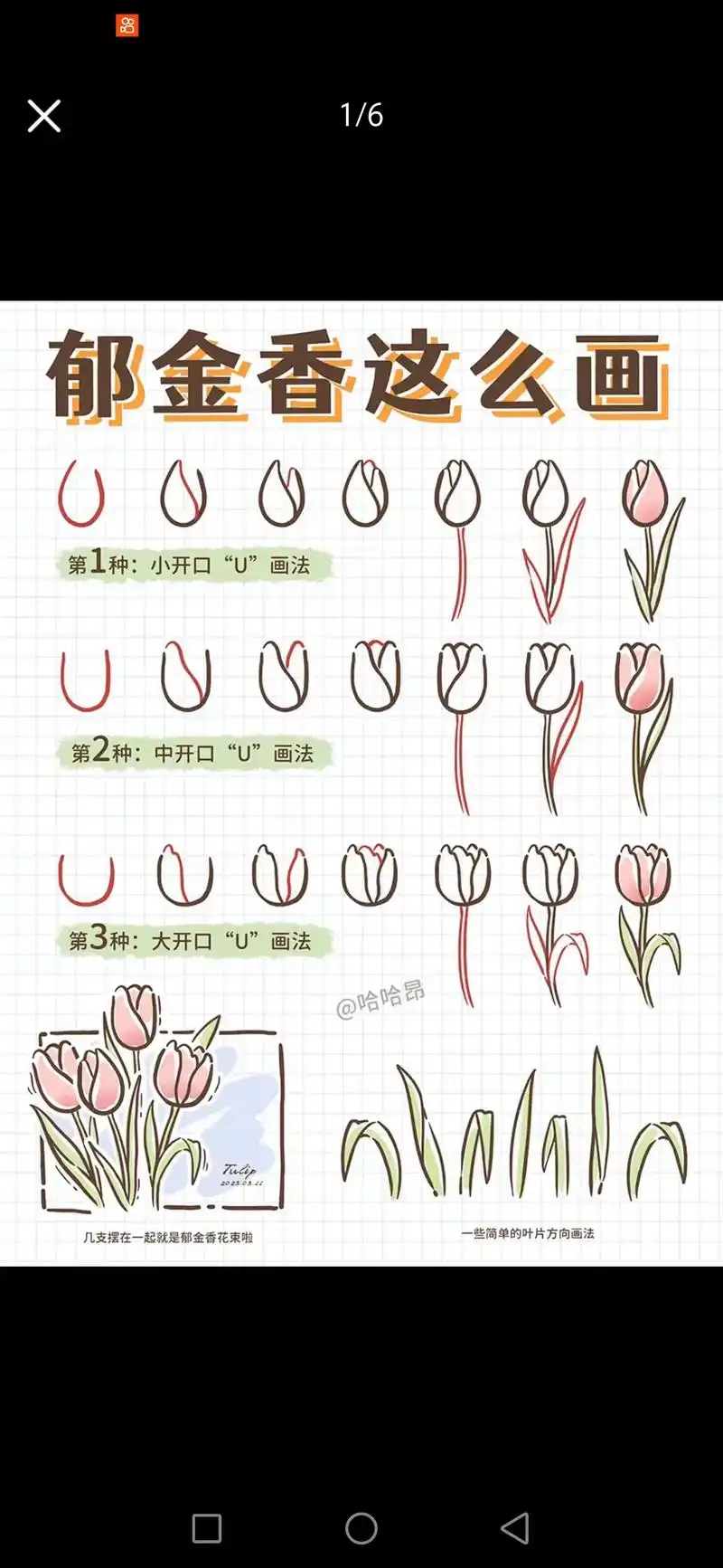 简笔画94郁金香#简笔画 #一起学画画 #母亲节简笔画 #手 - 抖音