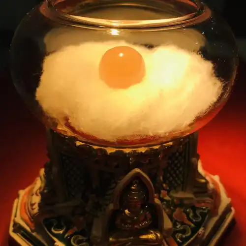 释迦摩尼佛金额骨舍利子开塔结缘 供舍利塔嘎乌 结缘金6500 16mm