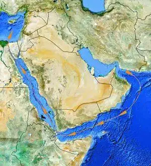 伊朗军舰穿苏伊士运河试探埃及 美出动航母巡弋