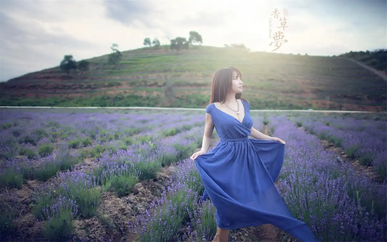 薰衣草唯美梦幻美女浪漫写真桌面壁纸