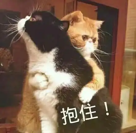 心痛的抱住表情包 - 心痛的抱住微信表情包 - 心痛的抱住qq表情包