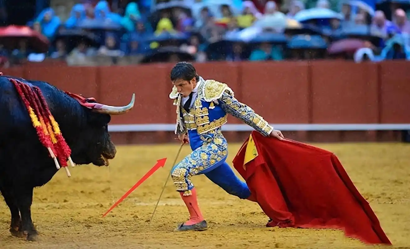 从"国技"到"禁令",西班牙斗牛为什么经历了"冰火两重天"?