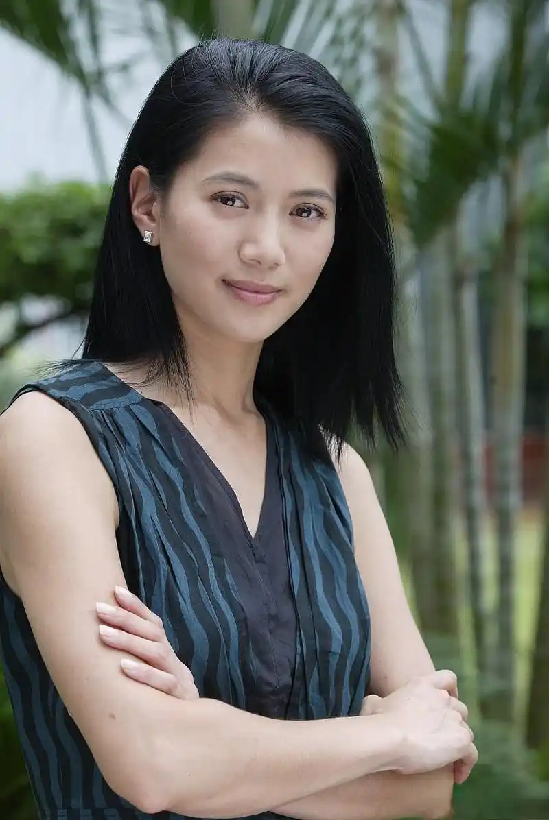 香港最漂亮的十大美女影视明星 林青霞,蔡卓妍,杨千嬅,刘嘉玲,刘若英