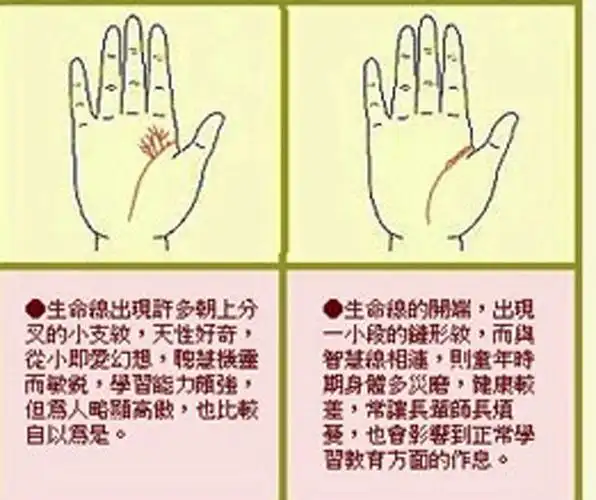 掌纹图解(之)生命线汇总