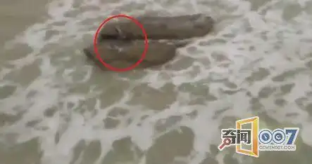 美人鱼惊现海滩 神秘美人鱼事件