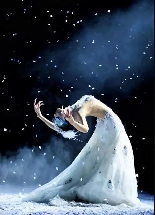 杨丽萍是哪个民族的人("孔雀公主"杨丽萍辛酸成名史) - 帮企客