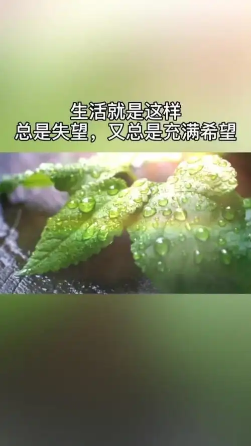 不管今天有多糟糕都要始终相信明天会更好成年人的世界就是一边崩溃