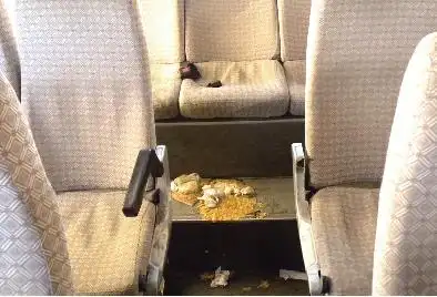 呕吐物满地 恶心