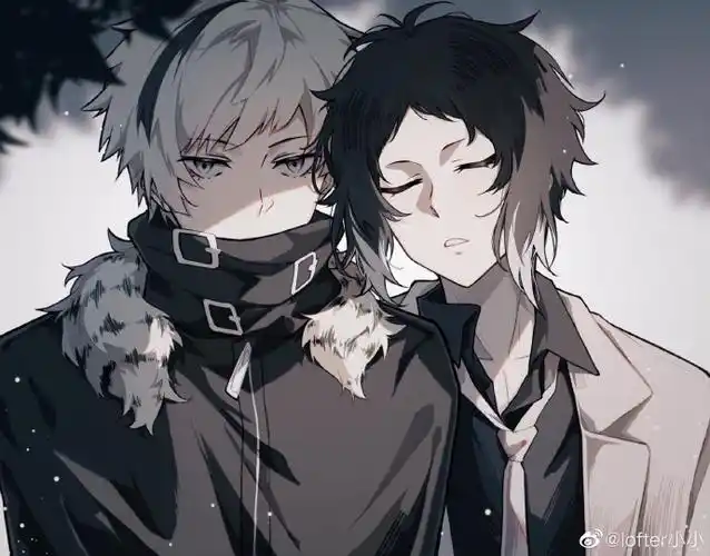 文豪野犬##双黑