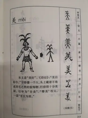 严仍江市小语名师工作室持续学习《汉字演变字典(1000例)》 - 美篇