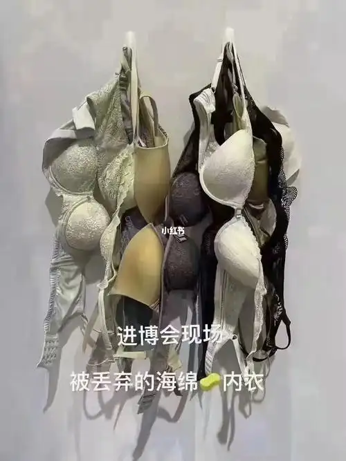 被抛弃 进博6061上会6969每天6061集收6969到丢掉的