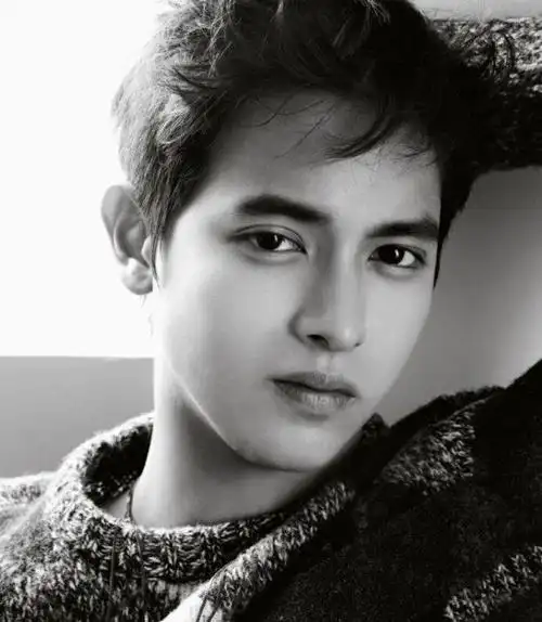 思苏克(james),1993年9月19日出生于泰国披集府,泰国男演员,歌手,模特