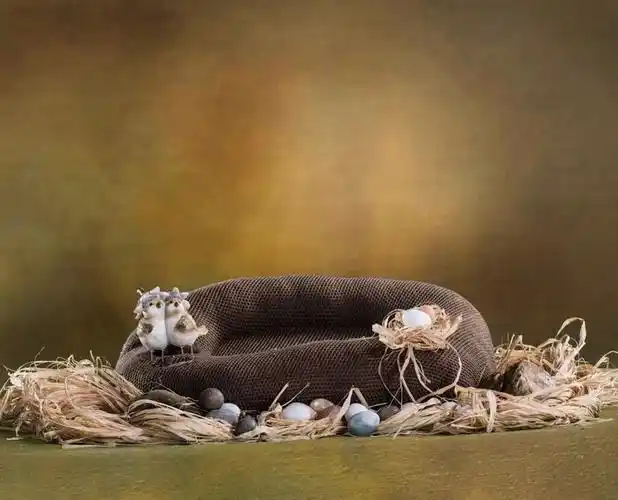 婴儿百天照片背景图片(百天宝宝创意照片)