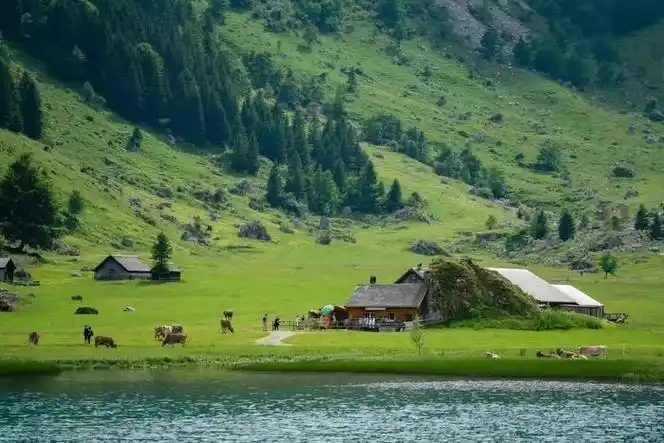 绿色系ipad电脑壁纸|绿色系|电脑|ipad_新浪新闻