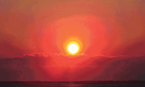 500_302gif 动态图 动图