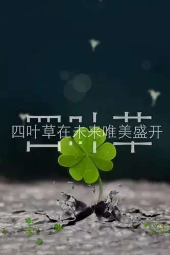 四叶草在未来唯美盛开